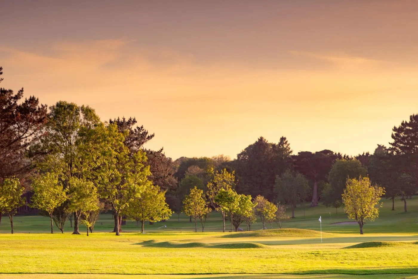 A fairway framed by mature trees at Tehidy Park