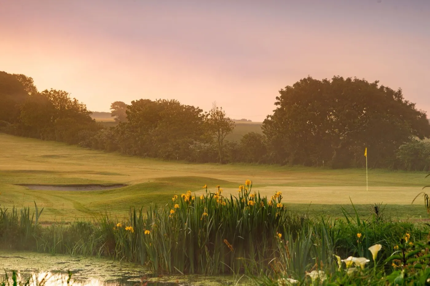 Tehidy Park parkland fairway in morning light
