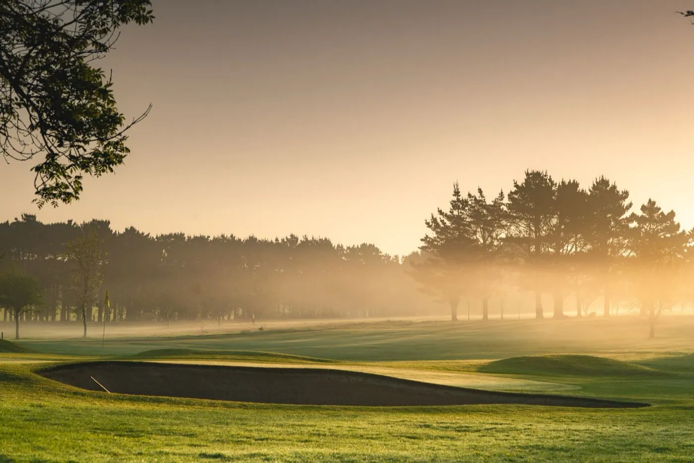 Morning light across a Tehidy Park fairway
